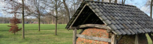 vlasoven te veene