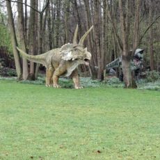 Bezoek aan de vlaskolken