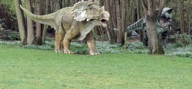 Bezoek aan de vlaskolken Bezoek aan de vlaskolken